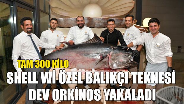 Тунец на 300 кг