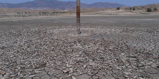 Водохранилище Kanlıköy наполнилось водой