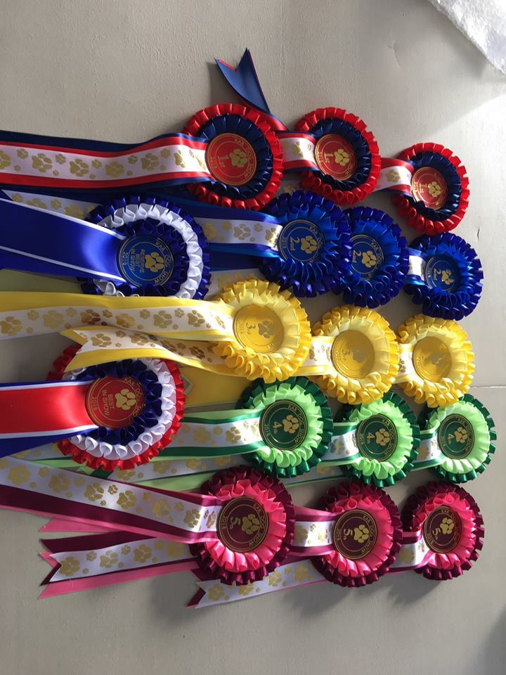 KAR dog show