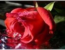 За день до праздника…