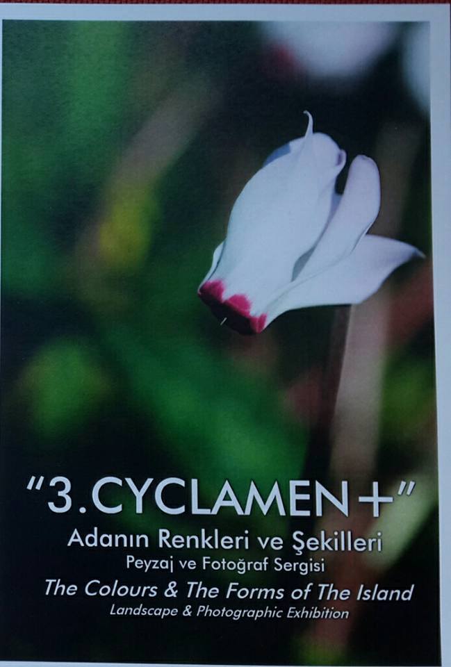 Выставка HİKMET ULUÇAM "3. CYCLAMEN+"