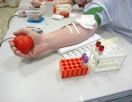 Новые условия для получения вида на жительство